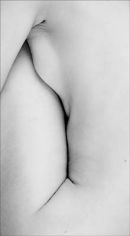 Body Lines 1